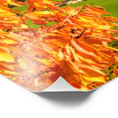 教会とドロミテスの風景の秋 フォトプリント            (角)