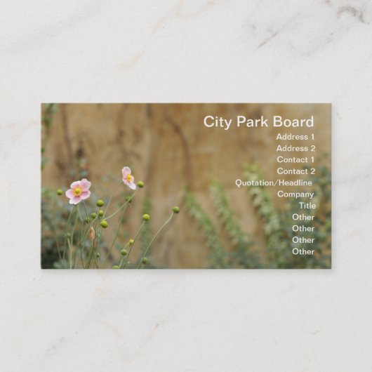 教会の壁にピンクの花が付いている 名刺 (正面)