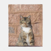 教会の猫 フリースブランケット (正面)