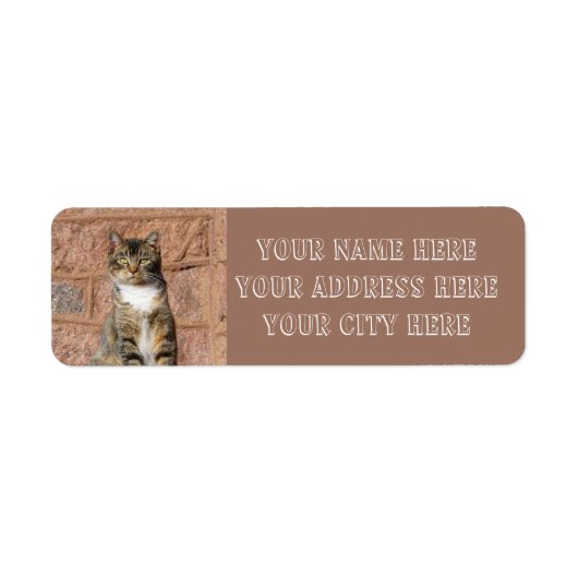 教会猫 ラベル (正面)