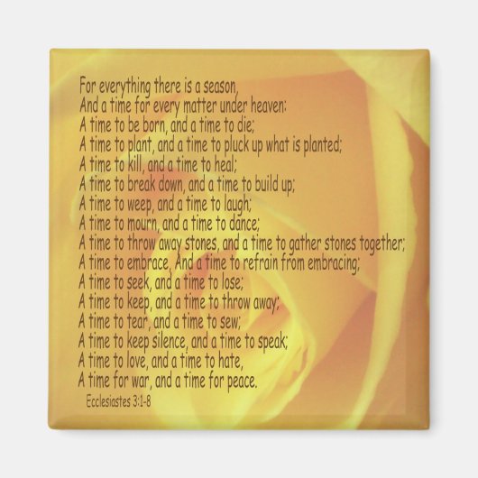 教会3:1-8 3 マグネット (正面)