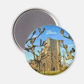 教会Sint Anna ter Muiden in Sluis,オランダ マグネット (正面/裏面)