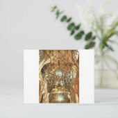 教卓 ポストカード (スタンド正面)