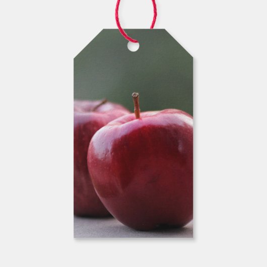 教員鑑賞週間ギフトタグ ギフトタグ (裏面)