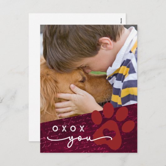 教室バレンタインの子ペットカスタムの写真 シーズンポストカード (正面/裏面)