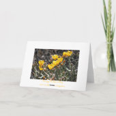 教母のための母の日カード カード (裏面)