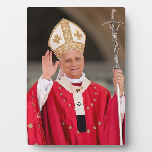 教皇レオ14世ペンテコスト2025年の日曜日 フォトプラーク (正面)
