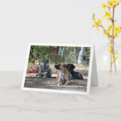 教習所の犬 カード (黄色い花)