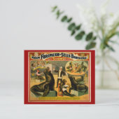 教育を受けたアシカとアザラシのサーカスのポスター ポストカード (スタンド正面)