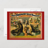 教育を受けたアシカとアザラシのサーカスのポスター ポストカード (正面/裏面)