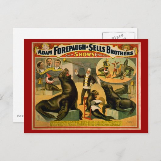 教育を受けたアシカとアザラシのサーカスのポスター ポストカード (正面/裏面)