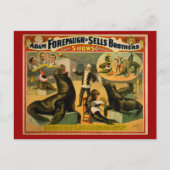 教育を受けたアシカとアザラシのサーカスのポスター ポストカード (正面)