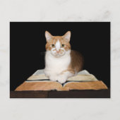 教育を受けた、または司書のタブバイ猫 ポストカード (正面)