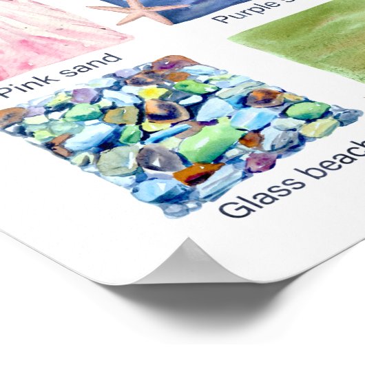 教育ビーチの種類 ポスター (角)