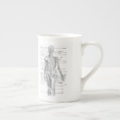 教育人間の解剖学の図表 ボーンチャイナマグカップ (右)