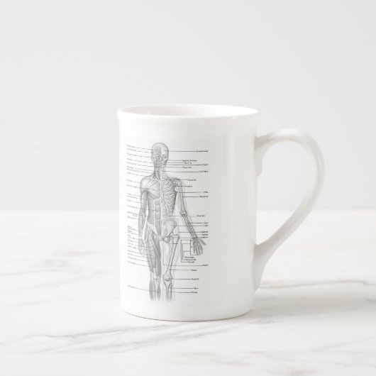 教育人間の解剖学の図表 ボーンチャイナマグカップ (右)
