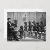 教育犬 ポストカード (正面/裏面)