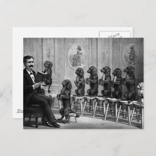 教育犬 ポストカード (正面/裏面)