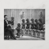 教育犬 ポストカード (正面)