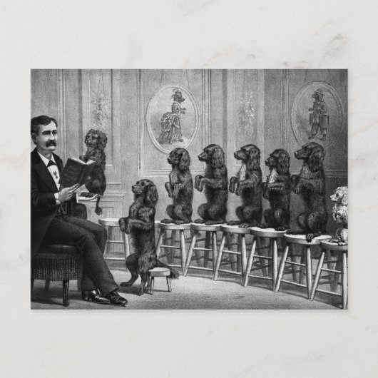 教育犬 ポストカード (正面)