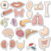 教育用人間体の部品と機関 シール (正面)