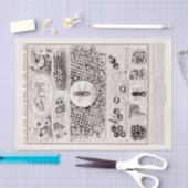 教育者シリーズワーカービーヴィンテージポスター 薄葉紙 (クラフト)