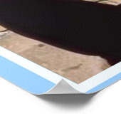 教育、世界宗教、ユダヤ教ファクトファイル ポスター (角)