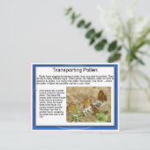 教育、科学、生命、輸送花粉 ポストカード (スタンド正面)