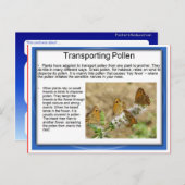 教育、科学、生命、輸送花粉 ポストカード (正面/裏面)