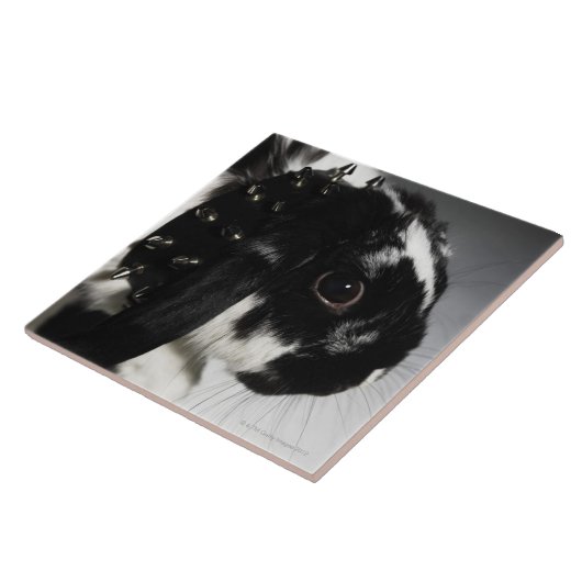 散りばめられたつばが付いている白黒ウサギ タイル (側面)