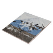 散乱ゲーゼ タイル (側面)