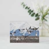 散乱ゲーゼ ポストカード (スタンド正面)