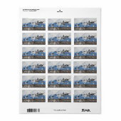 散乱ゲーゼ ラベル (フルシート)