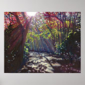 散乱光2013 ポスター (正面)