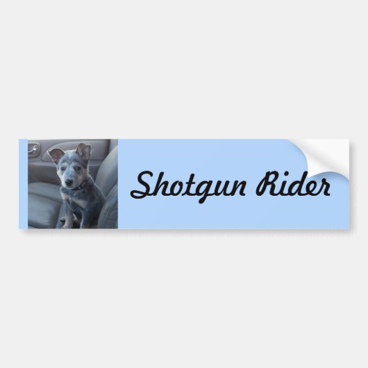 "散弾銃ライダー"の青いHeelerの子犬のバンパーステッカー バンパーステッカー (正面)