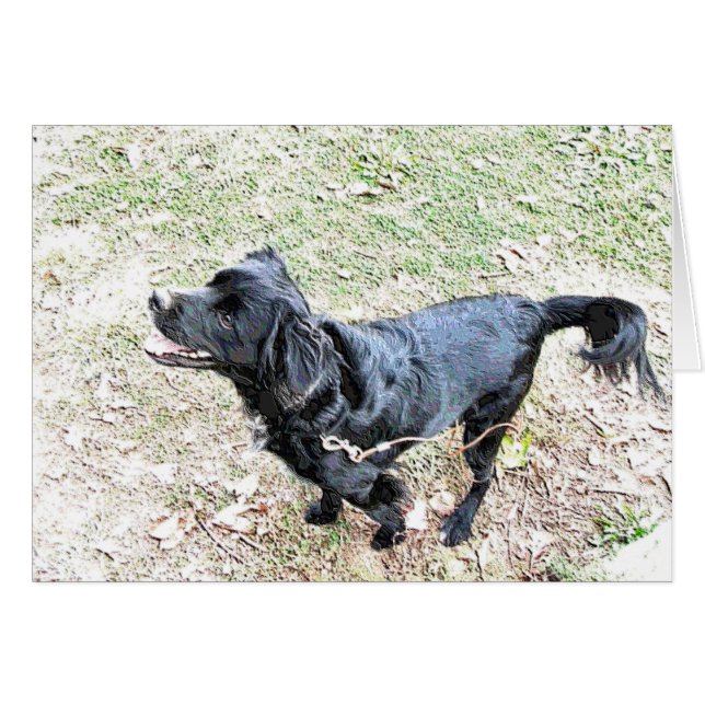 散歩を待つ子犬 (正面横)