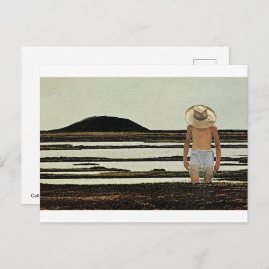 散歩式 – ポストカード (正面/裏面)