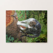 散歩用アウト – 子猫パズル ジグソーパズル (横)