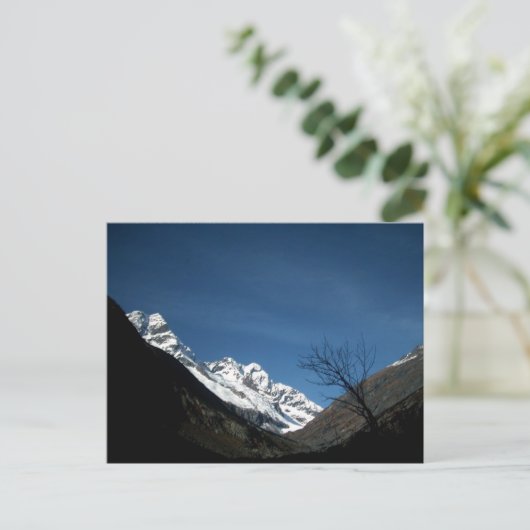 散歩 ポストカード (スタンド正面)