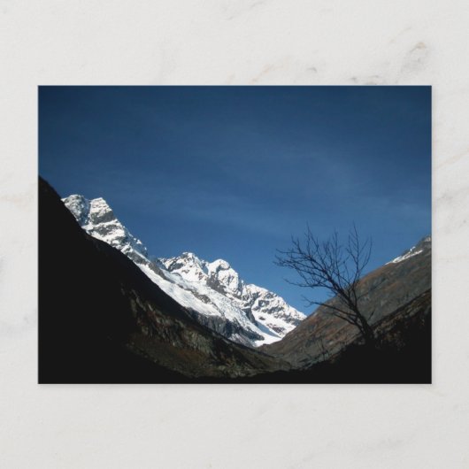 散歩 ポストカード (正面)