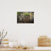 散水缶 ポスター (キッチン)