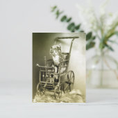 散策子猫 ポストカード (スタンド正面)