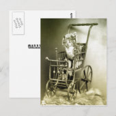 散策子猫 ポストカード (正面/裏面)