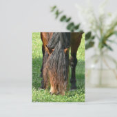 散髪を必要とする ポストカード (スタンド正面)