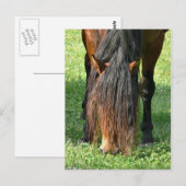 散髪を必要とする ポストカード (正面/裏面)