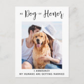 敬犬の結婚式がデート以外 案内ポストカード (正面)