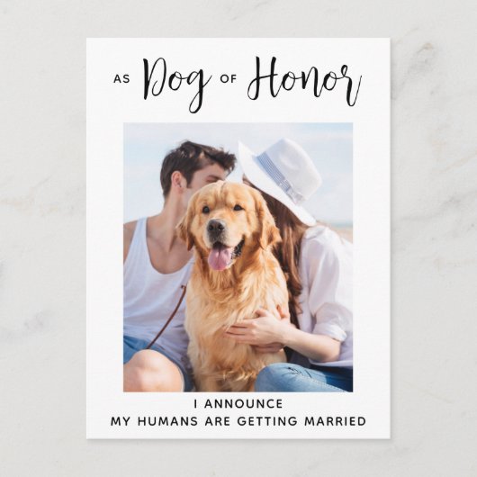 敬犬の結婚式がデート以外 案内ポストカード (正面)