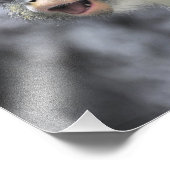 数々のオオカミ フォトプリント            (角)