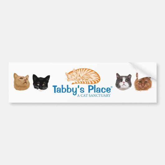 数々のポートレートのバンパーステッカー バンパーステッカー (正面)