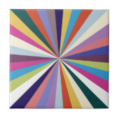 数々の夏 タイル (正面)